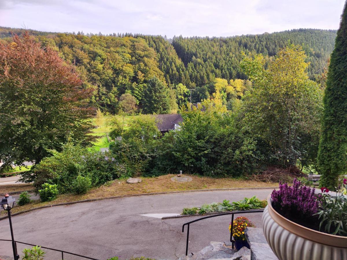 Villa Wohlfuehloase Eifelsteig à Simmerath Extérieur photo