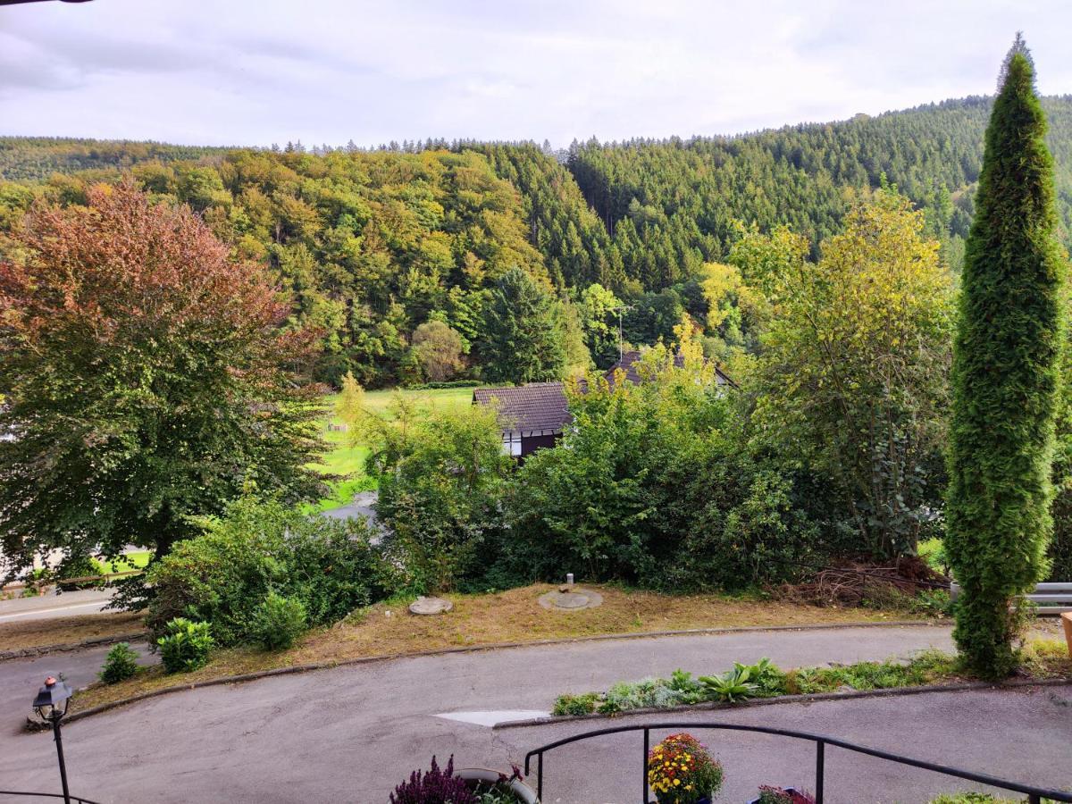 Villa Wohlfuehloase Eifelsteig à Simmerath Extérieur photo